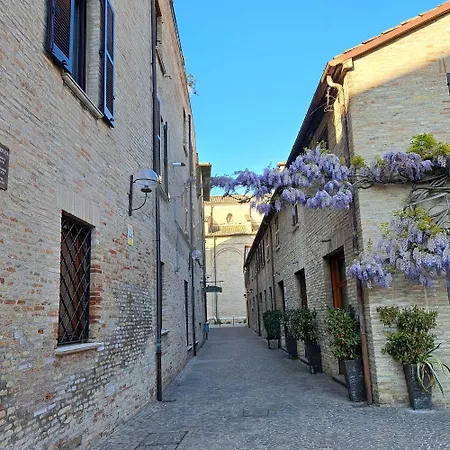 Sansovino